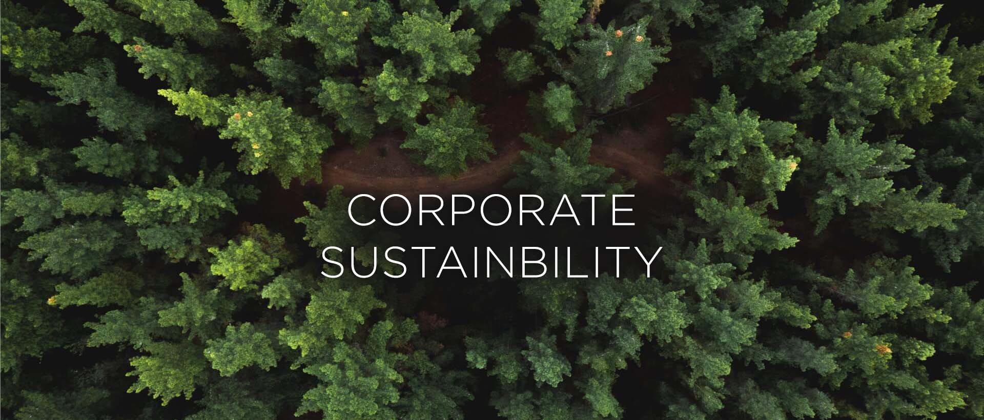 Corporate Sustainability